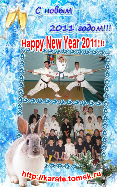 Happy New Year 2011!!!